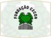 FCECON